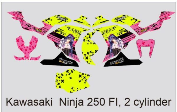 KAWASAKI: NINJA 250 FI, 2 CYLINDER  DECAL STICKER