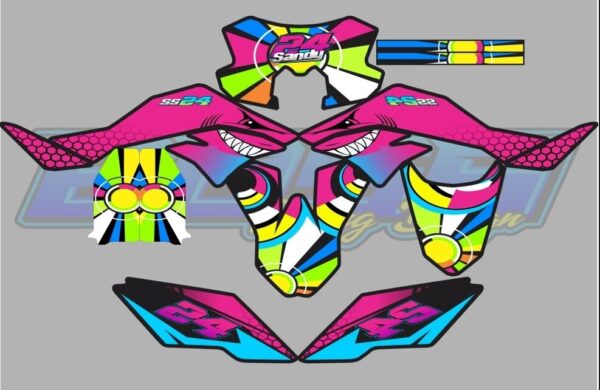 KAWASAKI: D-TRACKER 150CC  DECAL STICKER