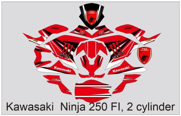 KAWASAKI: NINJA 250 FI, 2 CYLINDER  DECAL STICKER: MONSTER DESIGN