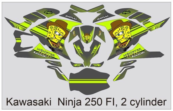 KAWASAKI: NINJA 250 FI, 2 CYLINDER  DECAL STICKER